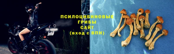 эйфоретик Беломорск